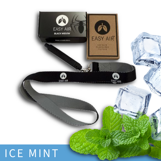 Easy Air Ice Mint Package