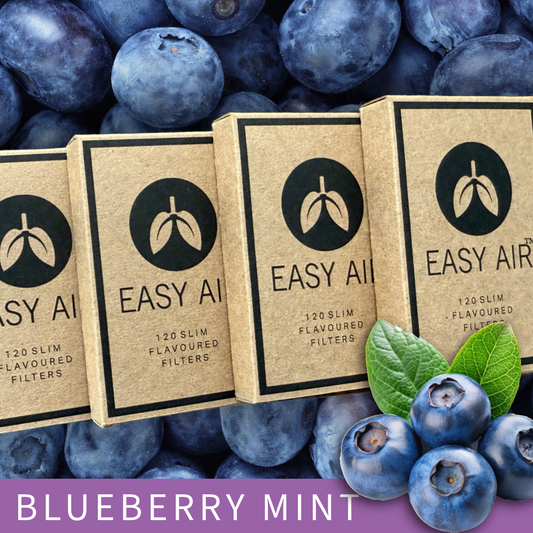 120 Blueberry Mint Flavoured Filters