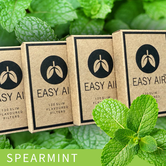 120 Spearmint Flavoured Filters